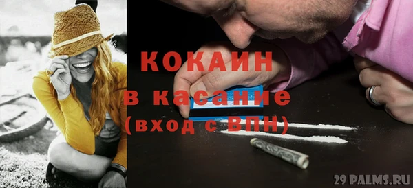 ПСИЛОЦИБИНОВЫЕ ГРИБЫ Алексин