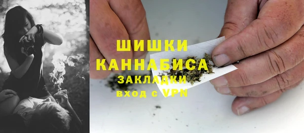 ПСИЛОЦИБИНОВЫЕ ГРИБЫ Алексин