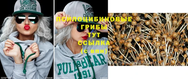 первитин Алексеевка