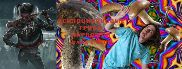 ПСИЛОЦИБИНОВЫЕ ГРИБЫ Алексин