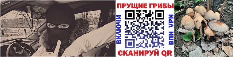 сколько стоит  Владивосток  Галлюциногенные грибы ЛСД 